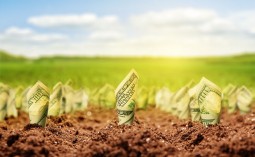 photo illustration of rolled up money growing out of fresh soil like sprouts