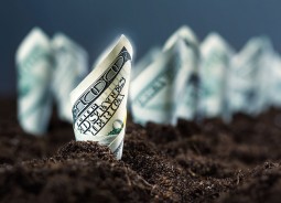 photo illustration of money growing in rows in some dirt